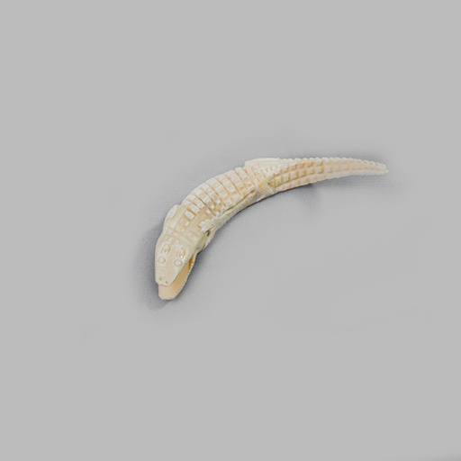 Warthog Tusk Carved Crocodile - Africa Handmade