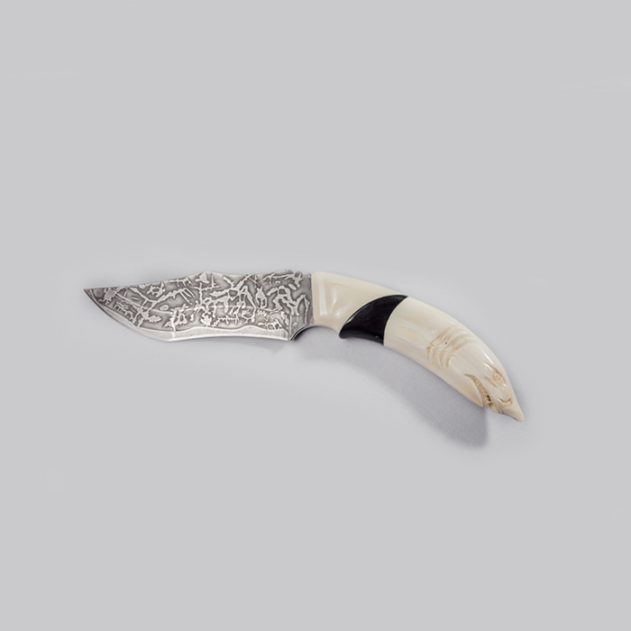 Shark Head Warthog Bone Clip Point Blade - Africa Handmade