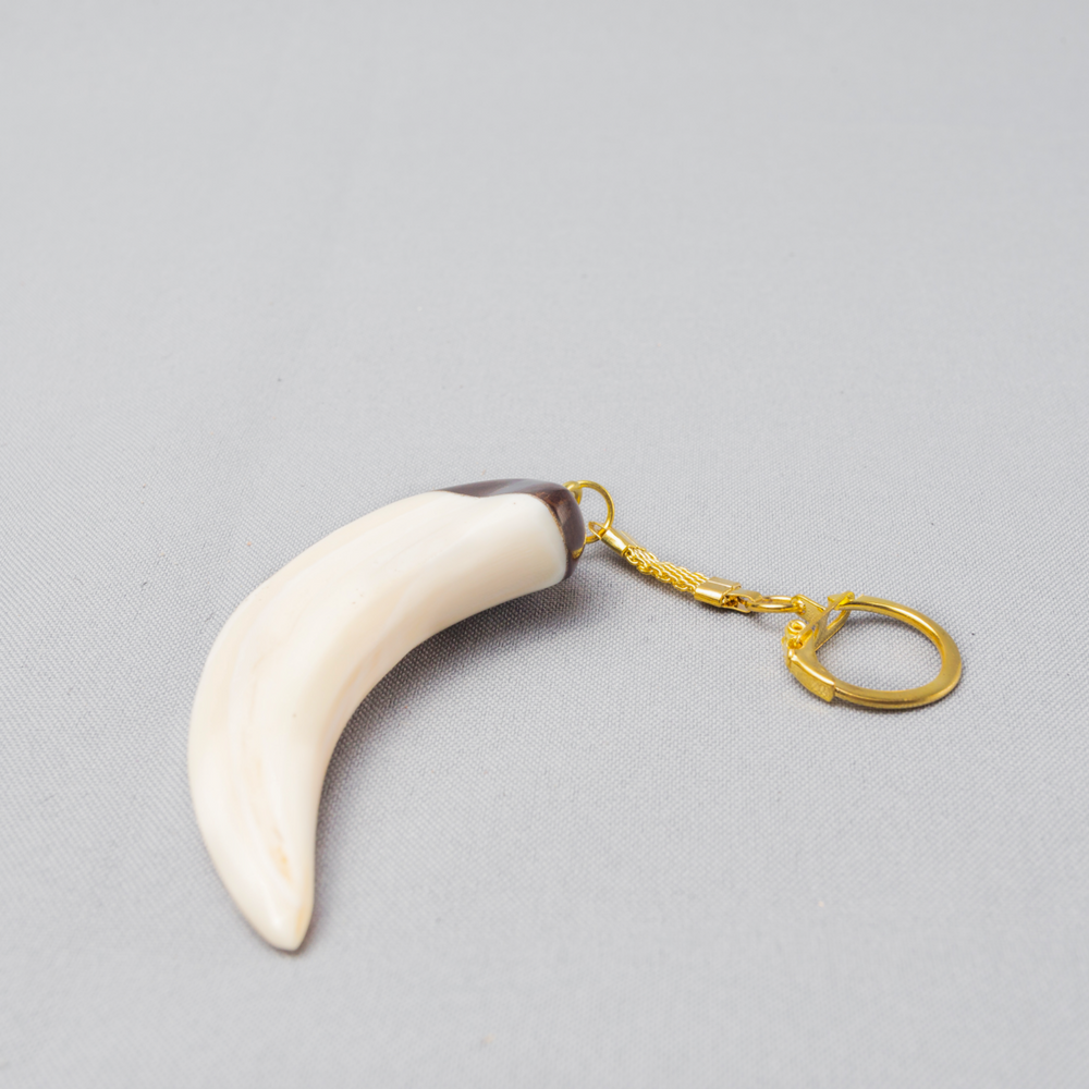 African Warthog Tusk Key-holder - Africa Handmade