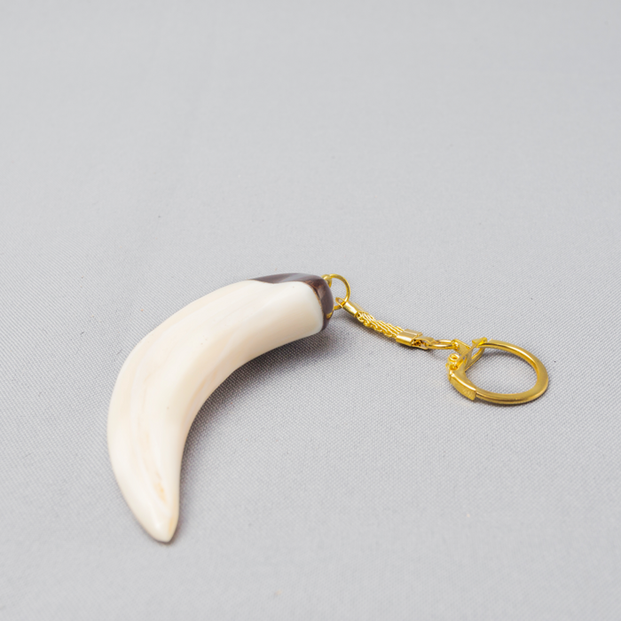 African Warthog Tusk Key-holder - Africa Handmade