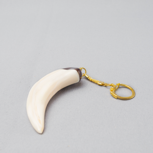 African Warthog Tusk Key-holder - Africa Handmade