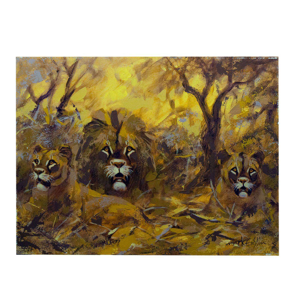 3 Lions by Mark Enslin - Africa Handmade