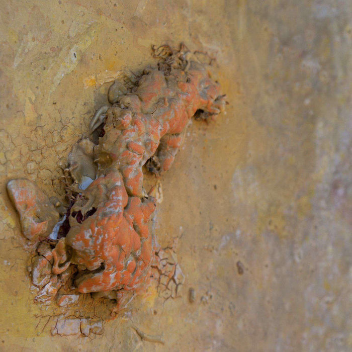 Portrait by Bon C - Africa Handmade