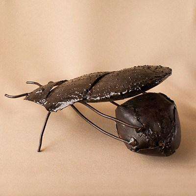 Dung Beetle Varnished Metal - Africa Handmade