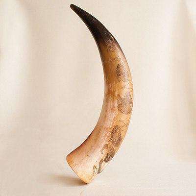 Engraved Cow Horn Display - Africa Handmade