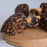 Executive office set guinea fowl drinking - Africa Handmade