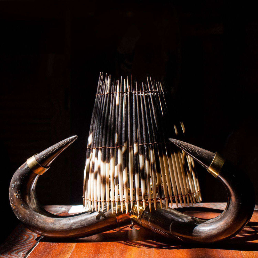 Genuine Wildebeest Horn and Porcupine Quill Combo Table Lamp with Fitting on Stand - Africa Handmade