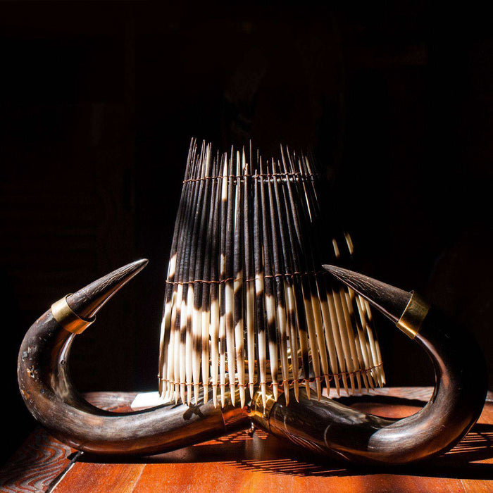 Genuine Wildebeest Horn and Porcupine Quill Combo Table Lamp with Fitting on Stand - Africa Handmade