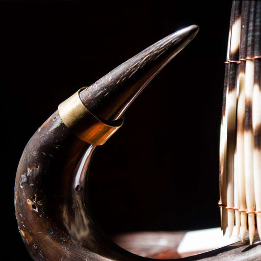 Genuine Wildebeest Horn and Porcupine Quill Combo Table Lamp with Fitting on Stand - Africa Handmade