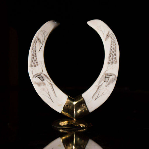 Hand Carved (Etched) genuine Warthog Tusk Set - Africa Handmade