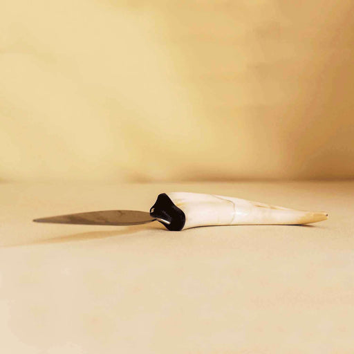 Hand Carved Warthog Tusk Letter Opener - Africa Handmade