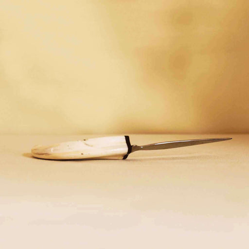 Hand Carved Warthog Tusk Letter Opener - Africa Handmade