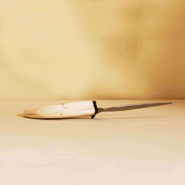 Hand Carved Warthog Tusk Letter Opener - Africa Handmade