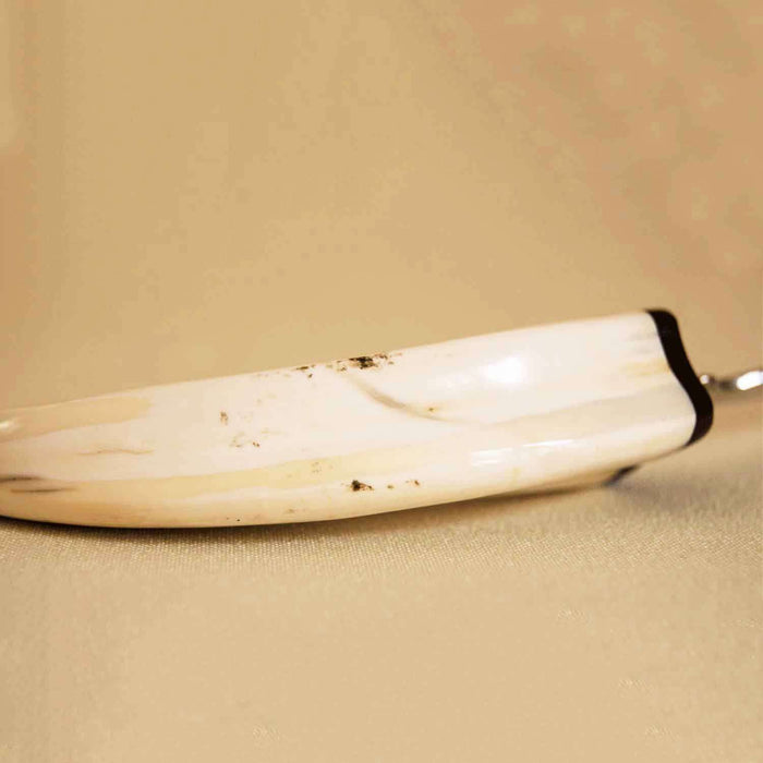 Hand Carved Warthog Tusk Letter Opener - Africa Handmade