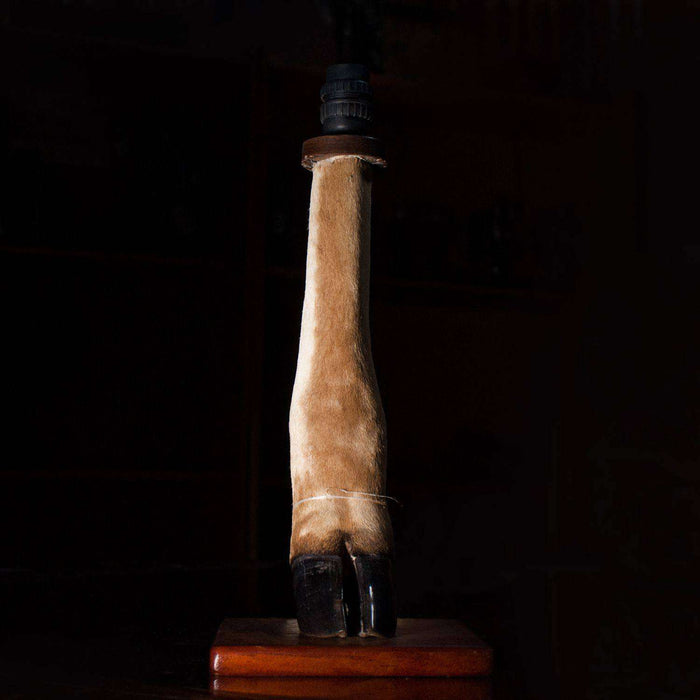 Kudu Leg Table Lamp with Fitting on Stand - Africa Handmade