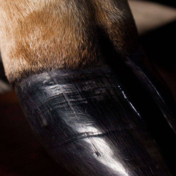 Kudu Leg Table Lamp with Fitting on Stand - Africa Handmade