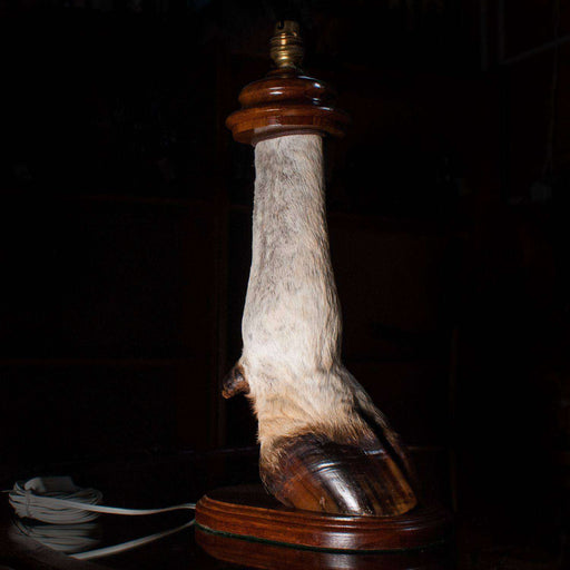 Large Eland Leg Table Lamp with Fitting on Stand - Africa Handmade