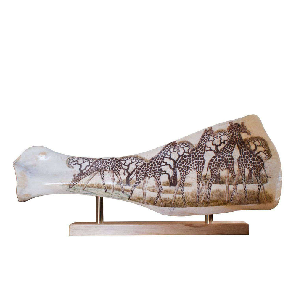 Polished and Hand Carved (Etched) Giraffe Shoulder Blade Bone - Africa Handmade