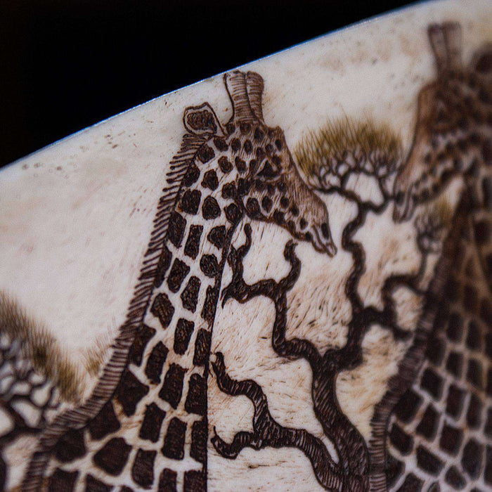 Polished and Hand Carved (Etched) Giraffe Shoulder Blade Bone - Africa Handmade
