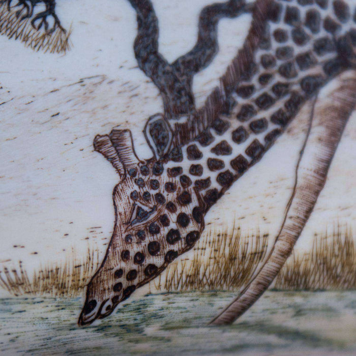 Polished and Hand Carved (Etched) Giraffe Shoulder Blade Bone - Africa Handmade