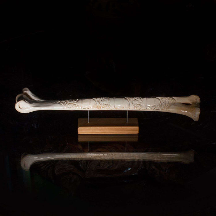 Polished and Hand Carved Ostrich Bone - Africa Handmade