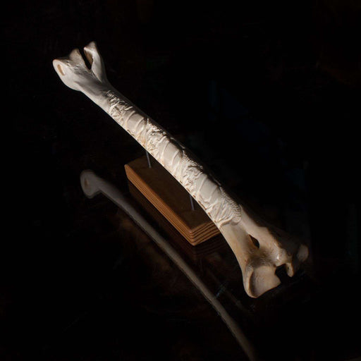 Polished and Hand Carved Ostrich Bone - Africa Handmade