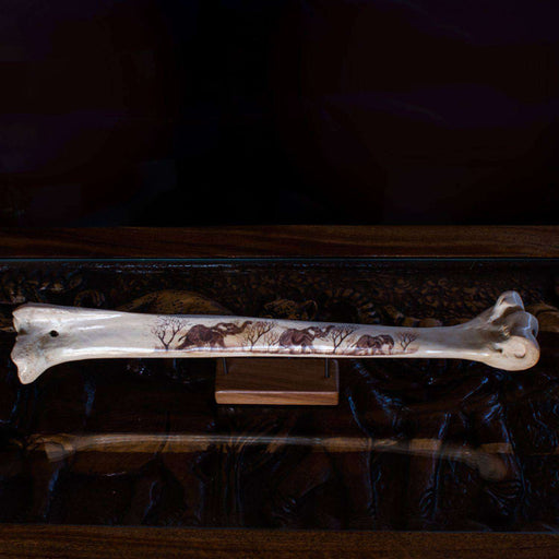 Polished and Hand Painted (Etched) Ostrich Bone - Africa Handmade