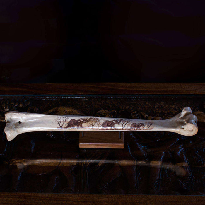 Polished and Hand Painted (Etched) Ostrich Bone - Africa Handmade