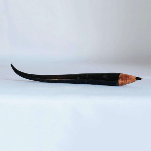 Springbok Horn Pen Spiral - Africa Handmade